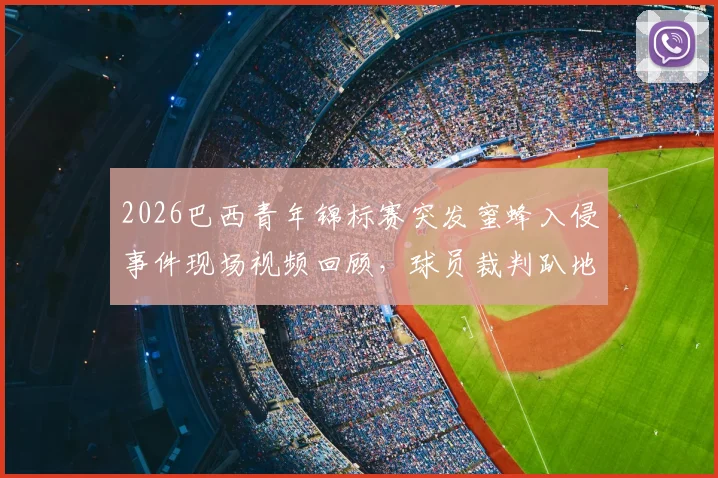 2026巴西青年锦标赛突发蜜蜂入侵事件现场视频回顾,球员裁判趴地躲避原因分析