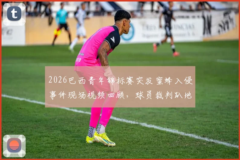 2026巴西青年锦标赛突发蜜蜂入侵事件现场视频回顾，球员裁判趴地躲避原因分析